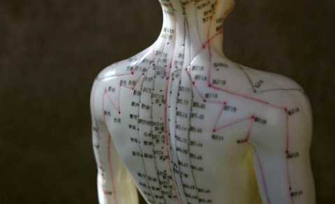 Acupuncture channels of intestines and bladder on the back